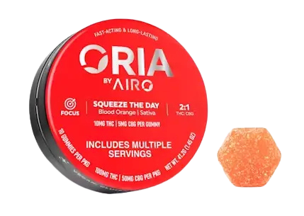 Squeeze the Day