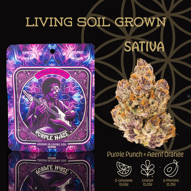 ~ Purple Haze  Flower of Life 