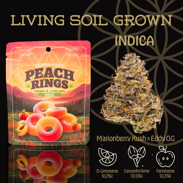 ~ Peach Rings  Flower of Life 