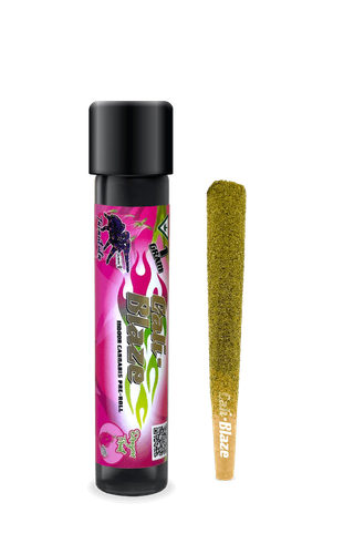 Dragon Fruit Infused Tarantula  Cali Blaze