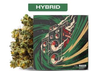 Marshmallow OG Eleven