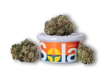 Jokerz Candy Solar Cannabis Co.
