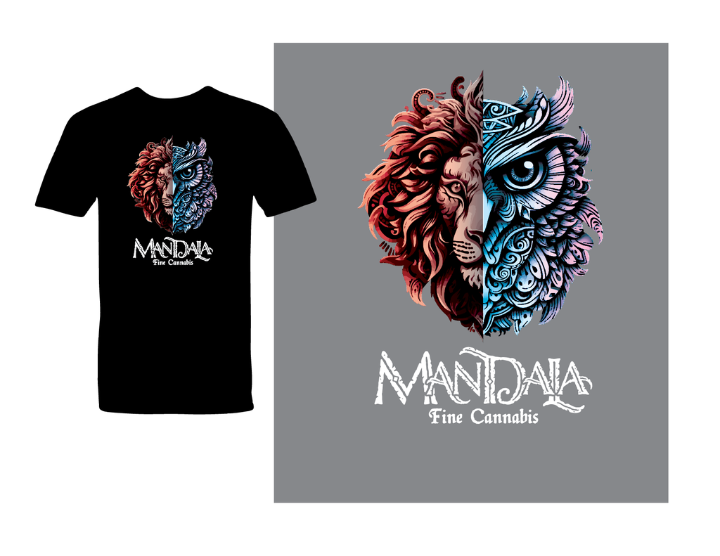 Owl Lion Black Women