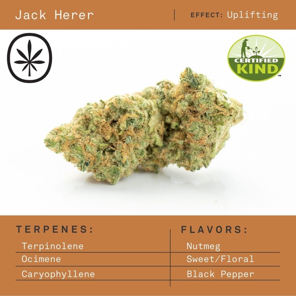 Buy Certified Organic Jack Herer 1g online - Apothecare - Ann