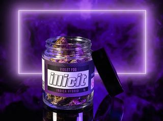 Violet Fog Illicit Gardens
