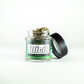 Ghost OG Illicit Gardens
