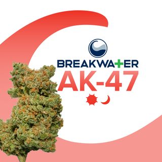 Cannabis Promo, Cannabis Sales, Cannabis Discounts, Cannabis on Sale, 2/$109 8ths! 2