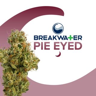 Pie Eyed Breakwater