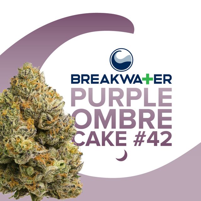 Purple Ombre Cake #42 Breakwater Purple Ombre Cake #42 Breakwater
