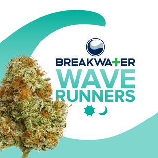 2/$109 8ths! Cannabis Promo, Cannabis Sales, Cannabis Discounts, Cannabis on Sale, 2/$109 8ths! 2