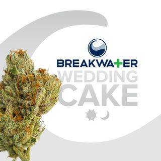 2/$109 8ths! Cannabis Promo, Cannabis Sales, Cannabis Discounts, Cannabis on Sale, 2/$109 8ths! 3