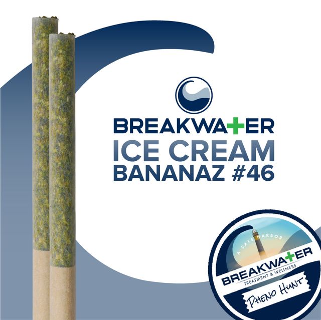 Ice Cream Bananaz #46 Breakwater Ice Cream Bananaz #46 Breakwater
