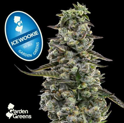 Garden Greens Ice Wookie 3.5g