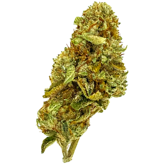 Orange Kush Mints #12 Beaverton Farms