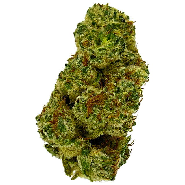 Certified Organic Jack Herer Mighty Fine