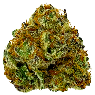 Certified Organic White Truffle Apothecare