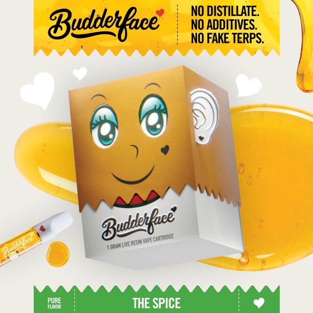 Buy The Spice 1g Live Resin 510 Cartridge online - New Standard - Saugatuck  | Saugatuck | Michigan