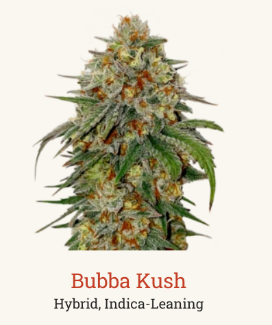 Bubba Kush Victory Natural Farms