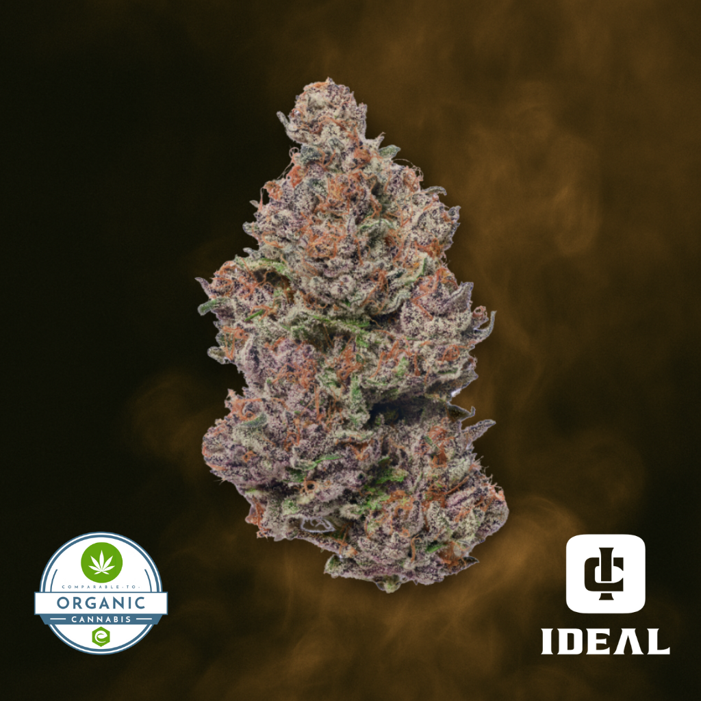 Cherry Poloma x Double Banana Fuel #27