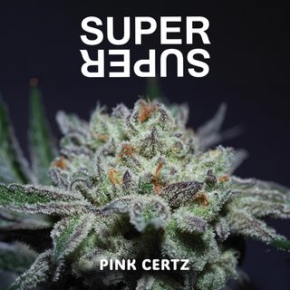 Pink Certz SUPERSUPER