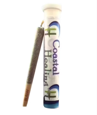 Lemon Zephyr 1G Pre-Roll Coastal Healing
