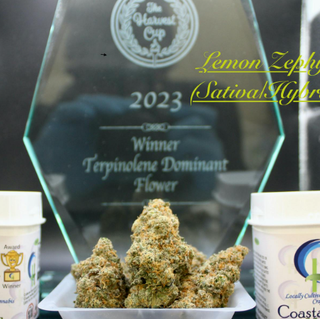 Lemon Zephyr 3.5G Flower Coastal Healing