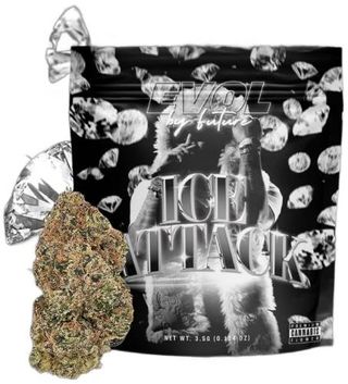 Ice Attack Evol By Future