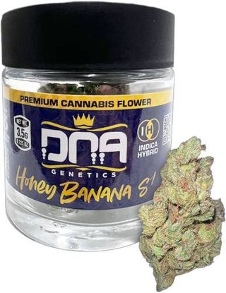 Honey Banana S1 Dna Genetics