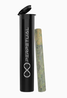 Tangerine Punch 0.5G Pre-Roll PERPETUAL