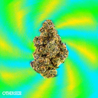 Cannabis Promo, Cannabis Sales, Cannabis Discounts, Cannabis on Sale, 25% off Nez & Otherside 3