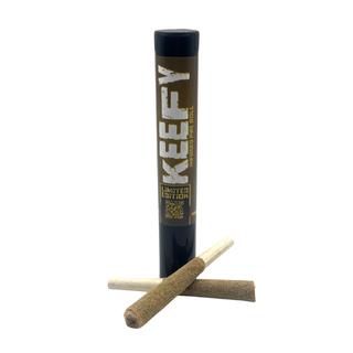 Sun Surfer #7 Keefy