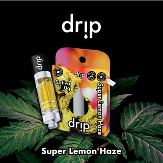 Super Lemon Haze Drip