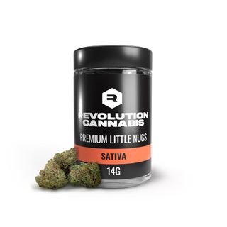 Samba Slapz Revolution