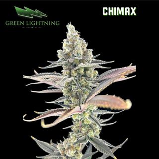 Green Lightning Friday's 30% OFF! Cannabis Promo, Cannabis Sales, Cannabis Discounts, Cannabis on Sale, Green Lightning Friday's 30% OFF! 2