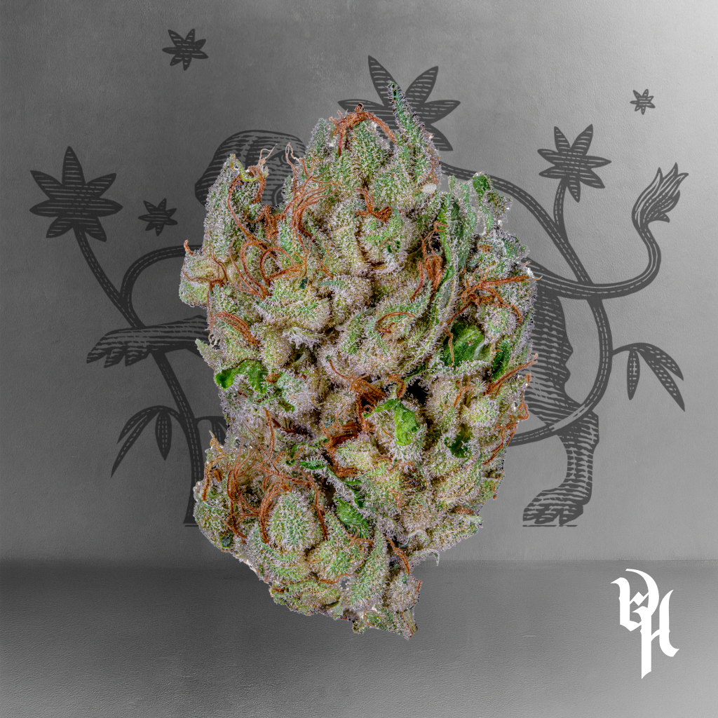Ghost OG