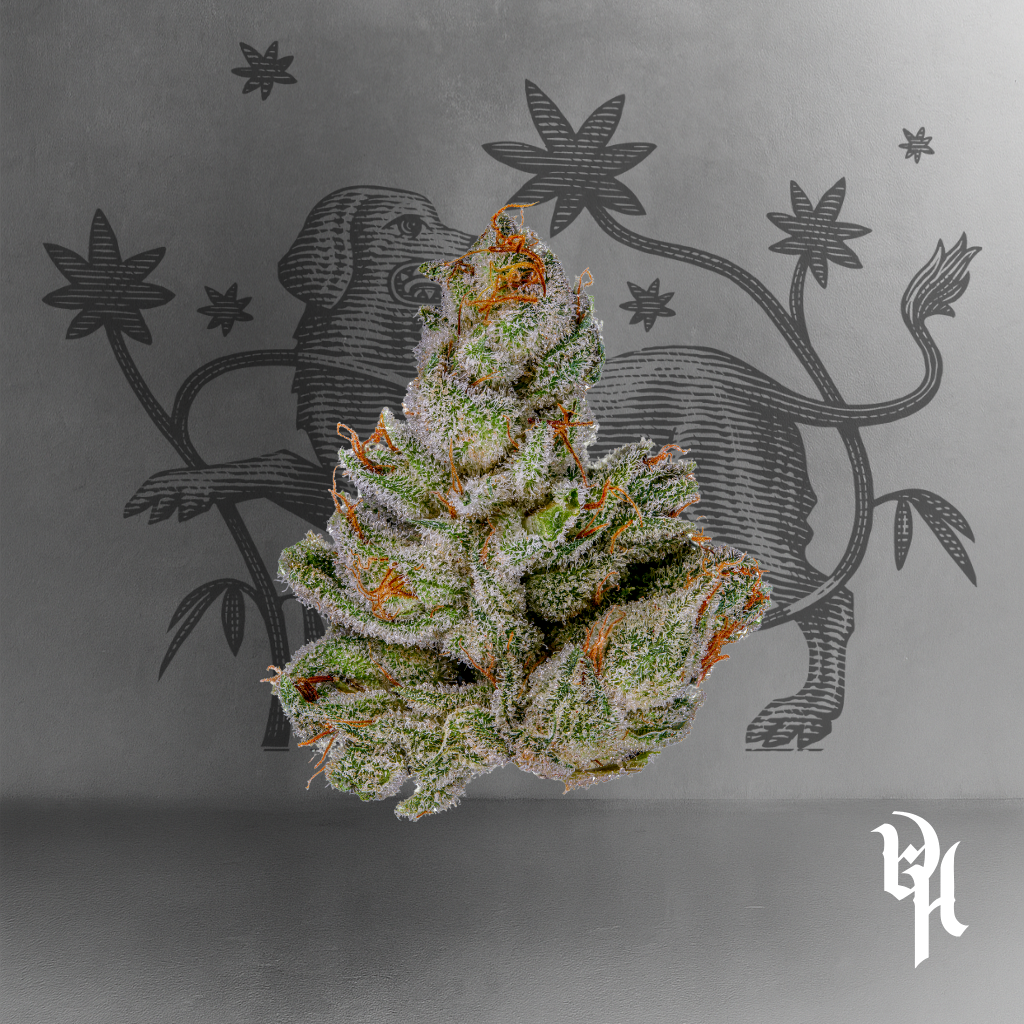 Headband
