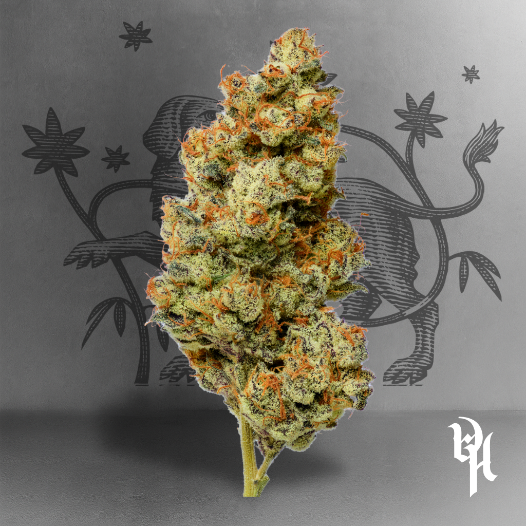 sherbanger x zangria x grape lyfe