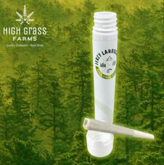 TK Headband Jerzy Landscapes