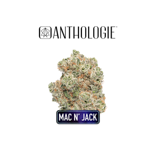 Mac n Jack Anthologie
