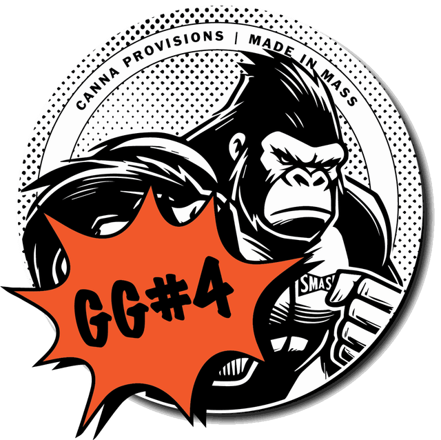 GG#4 SMASH Hits