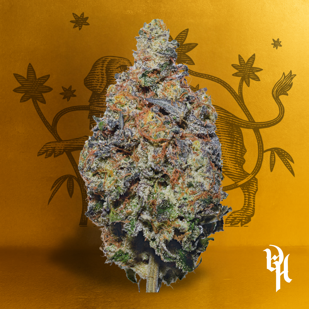 Piggy Bank