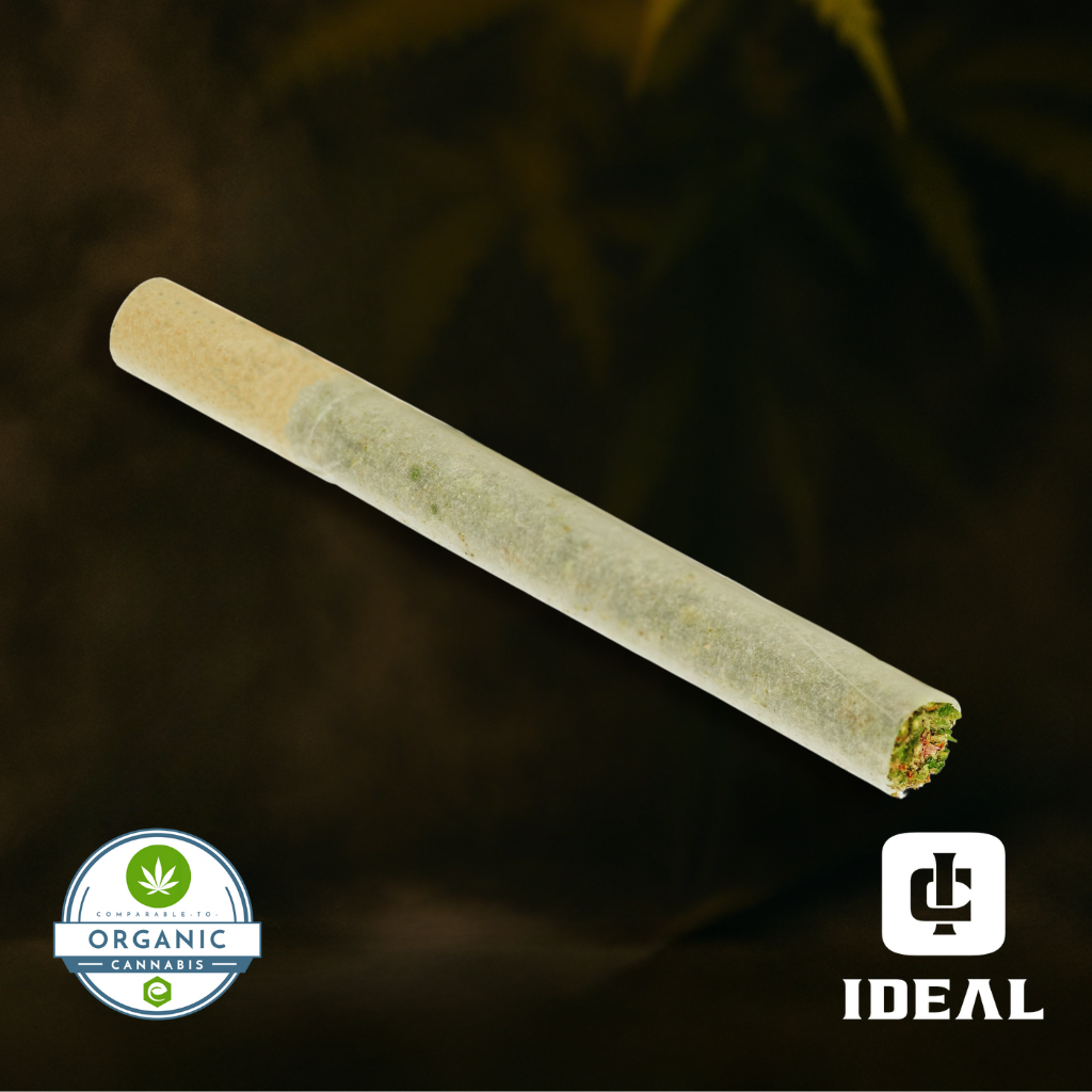 dd tobacco Buy DD 1g [Single] Premium Whole Flower Pre-Roll online - Goldflower St.  Petersburg | St. Petersburg