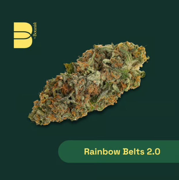 Rainbow Belts 2.0