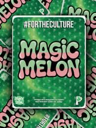 Magic Melon Prolific Growhouse Magic Melon Prolific Growhouse
