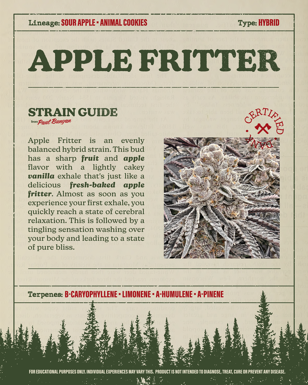 Paul Bunyan Apple Fritter 3.5g