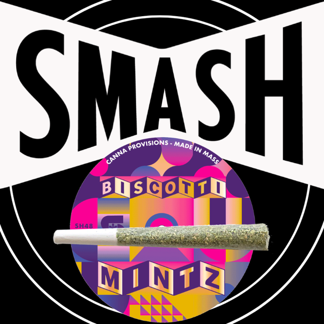 Biscotti Mintz Smash Hits
