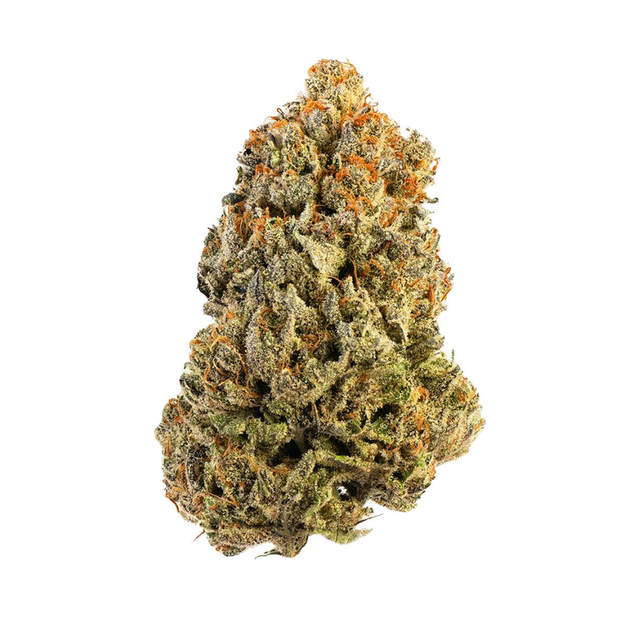Booberry Cookies Mission