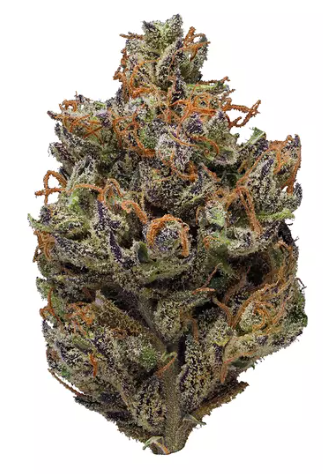 Chem Cookies PERPETUAL