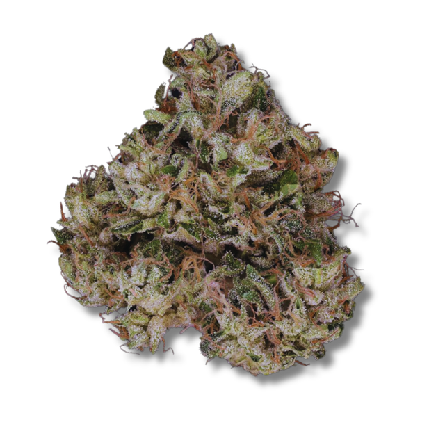 Chem D x 2 OG's PERPETUAL
