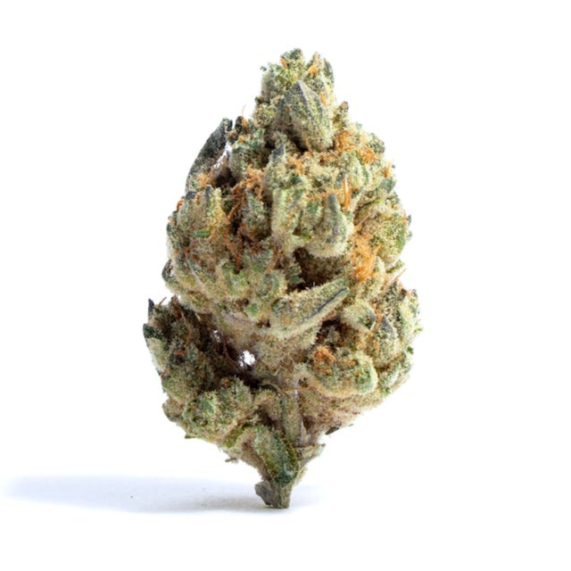 Dirty Little Secret Blackstone Valley Cannabis